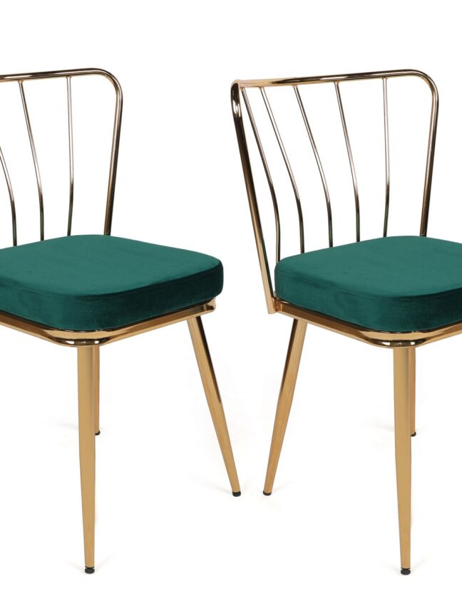 Söögitoa toolid 2tk roheline kuldne